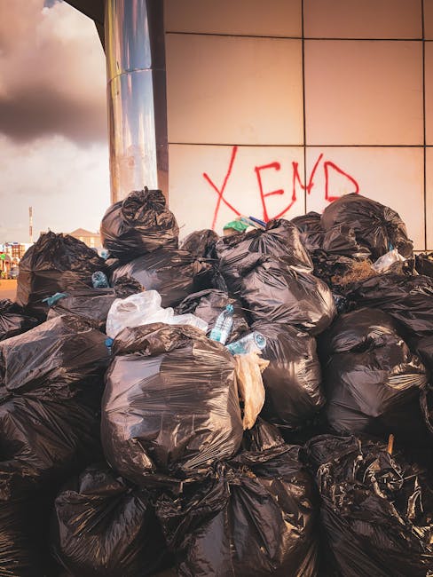SE19 same day rubbish collection what to expect and costs