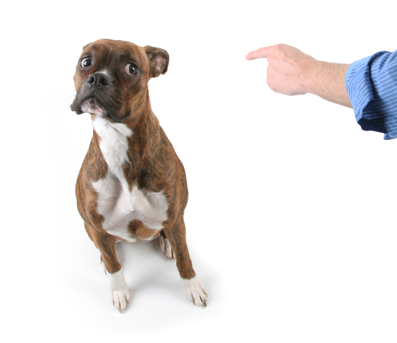 Turning Old Pots and Pans Into Something New Through Recycling